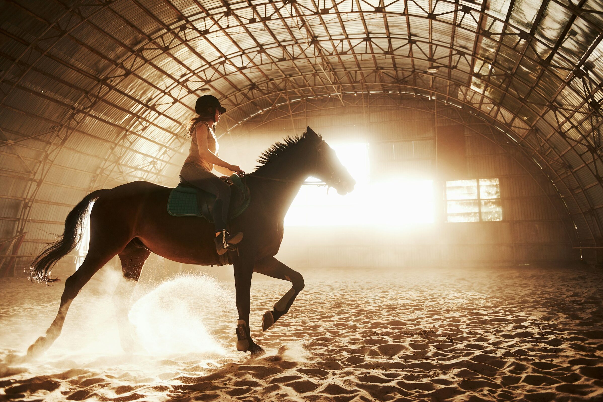 Horseback riding instruction