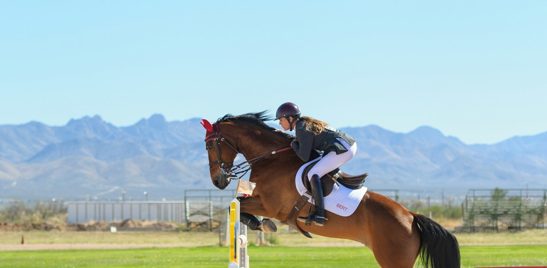 Horseback riding instruction